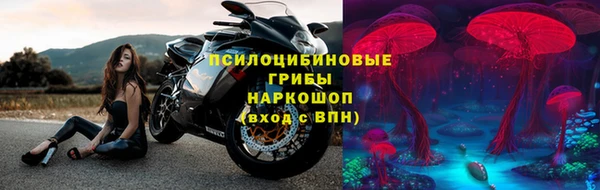 гидра Михайловск