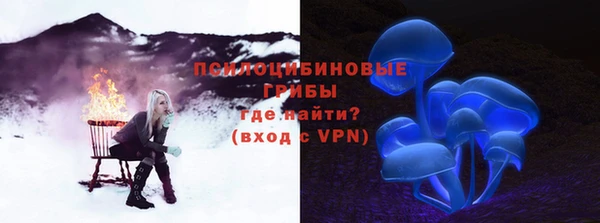 дживик Михайлов