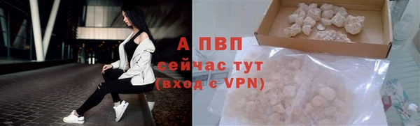 гидра Михайловск