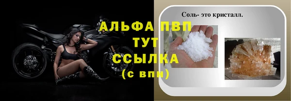 гидра Михайловск