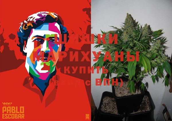 дживик Михайлов
