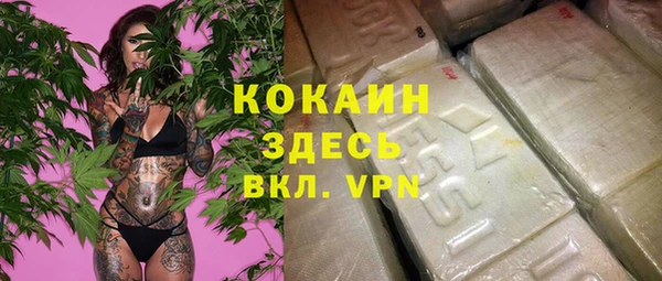 гидра Михайловск