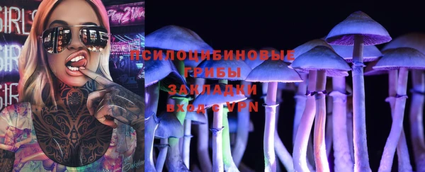 дживик Михайлов