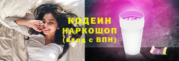 соль ск Алапаевск
