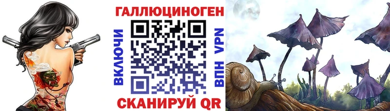 Купить Карпинск Галлюциногенные грибы мицелий